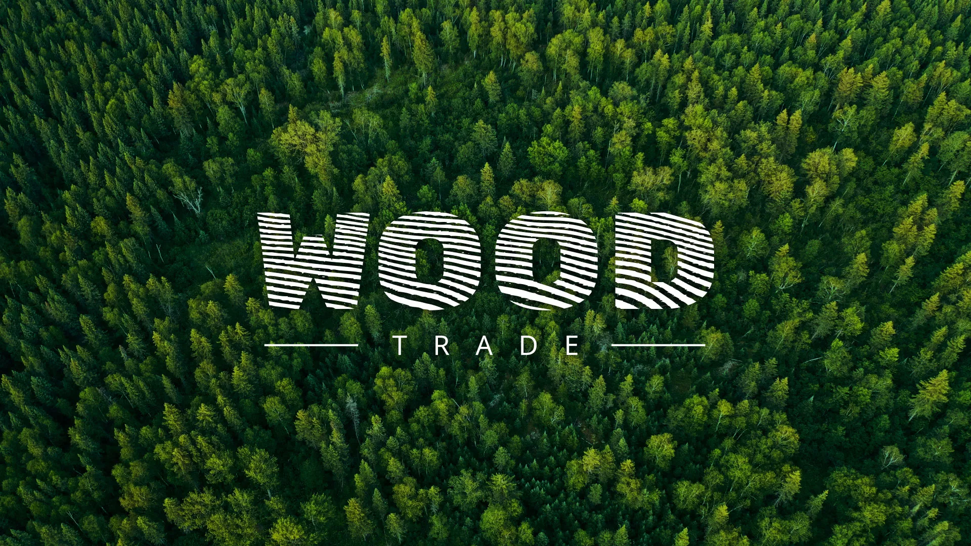 Разработка интернет-магазина компании «Wood Trade» в Советском